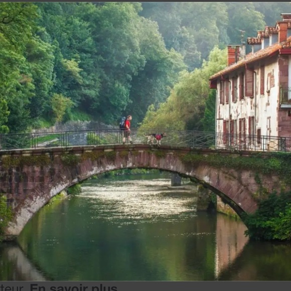 from 20 Oct to 10 November - Picture 6 of 14